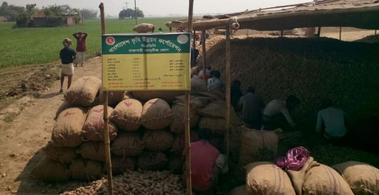 তানোরে বিএডিসির আলুবীজ সংগ্রহে অনিয়ম